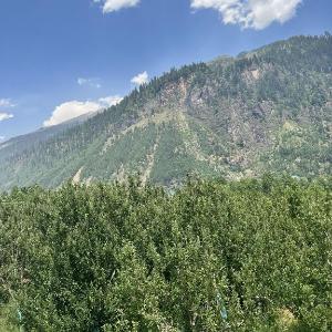 Daddys : boutique mudhouse