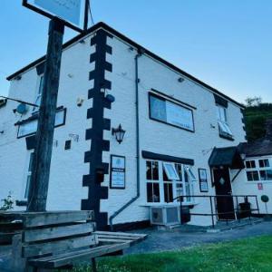 The Yew tree at Longhope