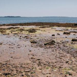 Chebeague Island Inn