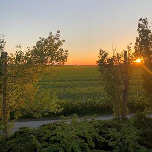 Op de Wei Feldblick