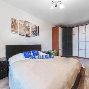 Apartment Hanaka Zeleniy 83