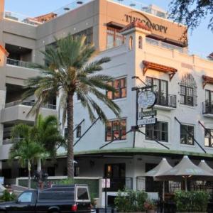 Hotels near State Theatre St. Petersburg - The Birchwood