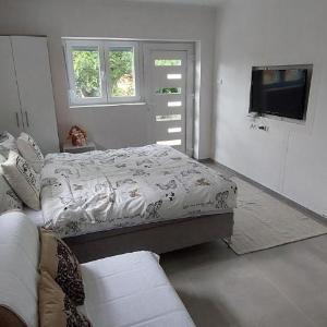 Apartman Olga
