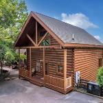 A Bliss - Hot Tub Game Room WIFI Resort Pool FREE attraction tickets!!! Sevierville Tennessee