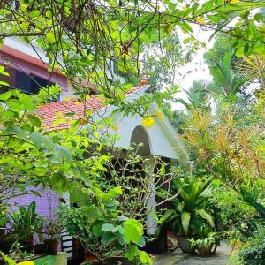Stylish garden villa in Alleppey