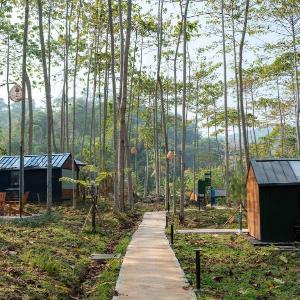 Bobocabin The Tavia Puncak