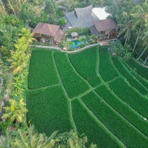 Gusde House Villas