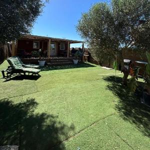 OHANA palmar