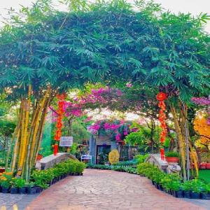 Thanh Dat Resort