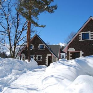 Alpine Chalets Hakuba