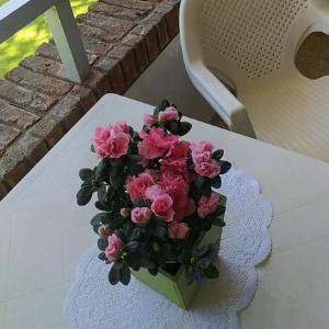 Precioso apartamento en un entorno verde y tranquilo en playa mansa