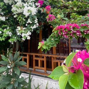 Bougainvillea Inn - Maldives