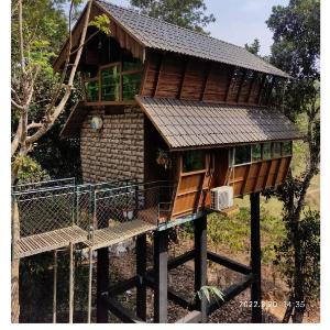 Tree House Wayanad