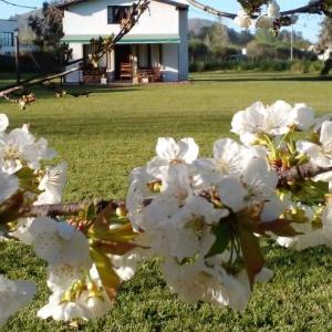 POSADA EL ROMANCE