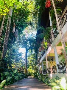 Tree House Hotel, Sisaket