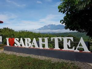 Sabah Tea Garden, Kinabalu National Park