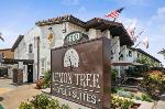 Federal California Hotels - The Lemon Tree Hotel