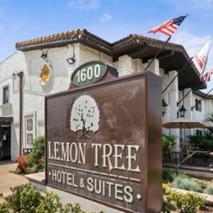 The Lemon Tree Hotel