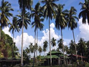 Fishing Bay Resort, Mersing