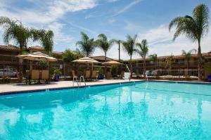 Best Western University Inn Santa Clara, Santa Clara