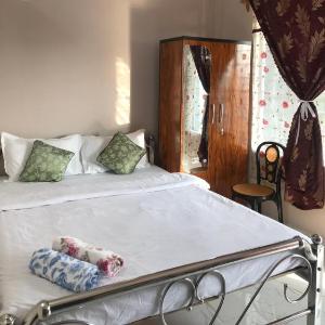 Living Roots Lodge