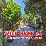 Sq Wild Rose 2 Sequim