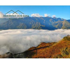 Bungalow studio hunt cloud homestay1579SaPa