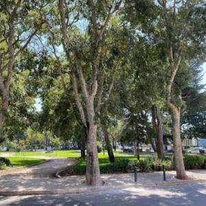 Jardim da Parada