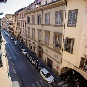 Acacia Firenze -Tulipano