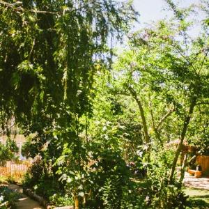 Da Lat Cui Homestay