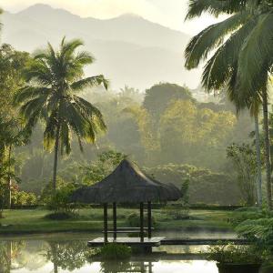 The Farm At San Benito photo
