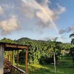 Tierra Adentro Bed and Breakfast Naguabo