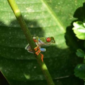 Agua Azul Nature-House