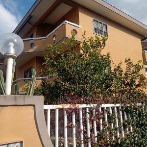 Lungotevere Testaccio 6 Roma - Apartments