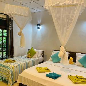 Sigiri Budget Homestay