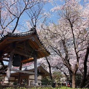 Grand Prince Hotel Shin Takanawa