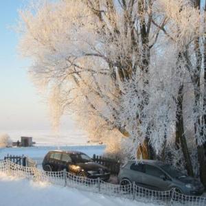 Cozy Holiday Home in Warns with Meadow Nearby