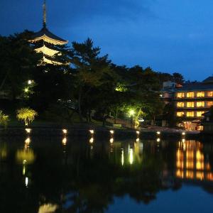 Sarusawaike Yoshidaya