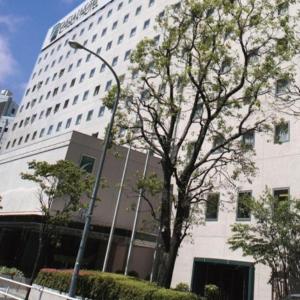 Chisun Hotel Hamamatsucho
