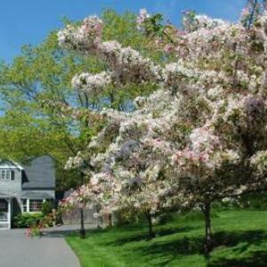 Cape Arundel Inn - Club House