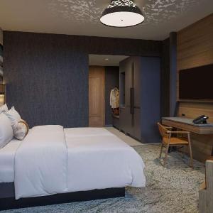 Cloudland at McLemore Resort Lookout Mountain Curio by Hilton