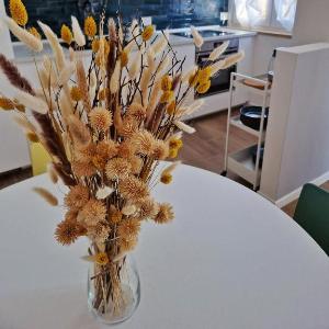 MARCO POLO APARTMENT - San Zeno