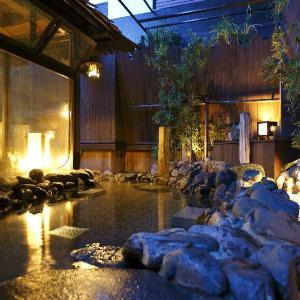 Dormy Inn Akihabara