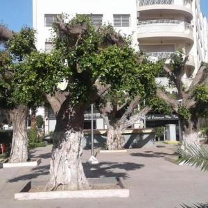 Elegant 2BR Private Terrace AC Fast WiFi & Parking Maarif
