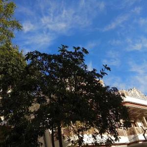 Jaipur Homestay