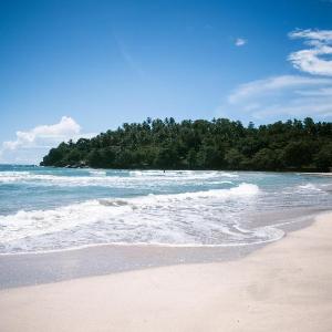 Calma Cafe - Surf Stay and Yoga