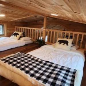 Blue Buffalo Resort