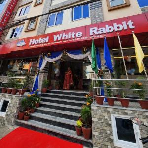 Hotel White Rabbit
