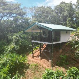 Jungle Passion Lodge