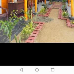 Bashi eco beach cabana